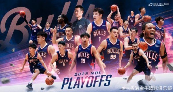 季后赛我们来啦！香港金牛20轮赛事  19胜1负强势锁定季后赛席位